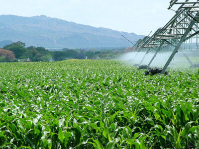 Agro